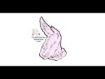 Comment dessiner une aile de poulet cru