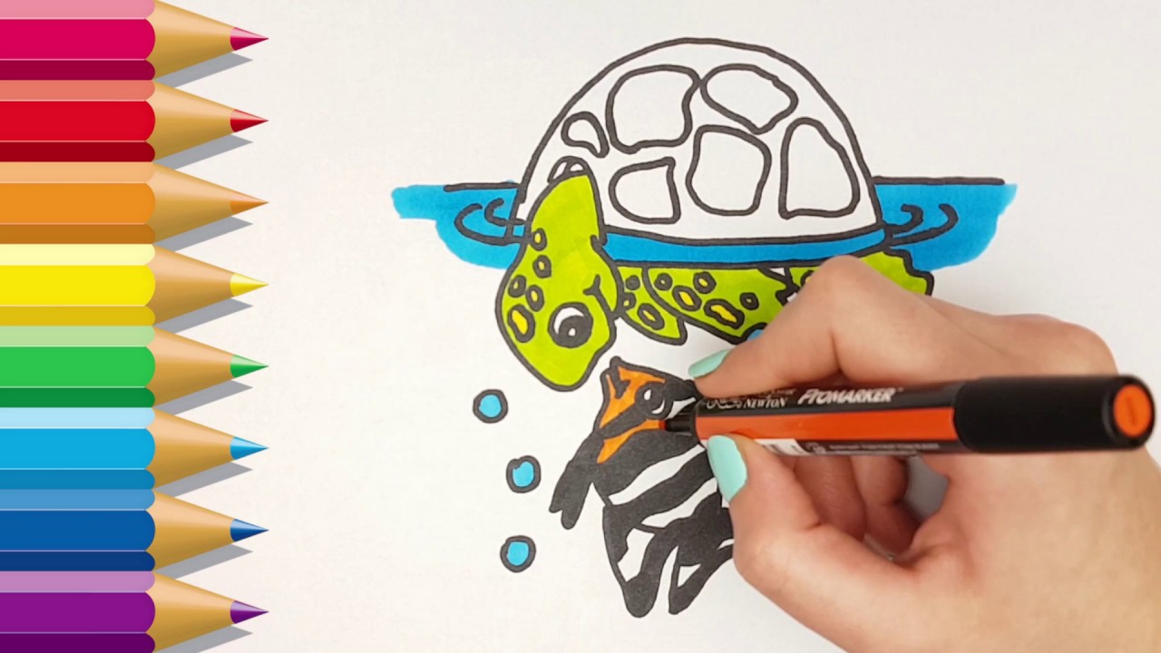 Cómo dibujar tortugas y peces | Dibujos para colorear de tortugas | Aprender los colores con