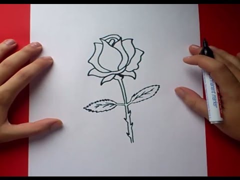 Como dibujar una rosa paso a paso 3 | How to draw a rose 3