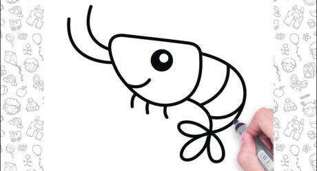 Cute Prawn Drawing For Kids | How to Draw a Prawn in Easy Way