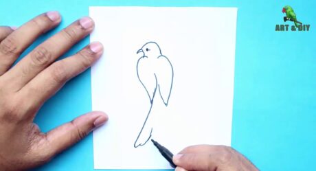 Easy Bird Drawing How to Draw a Bird Step by Step easy [1 Minute Bird Drawing]