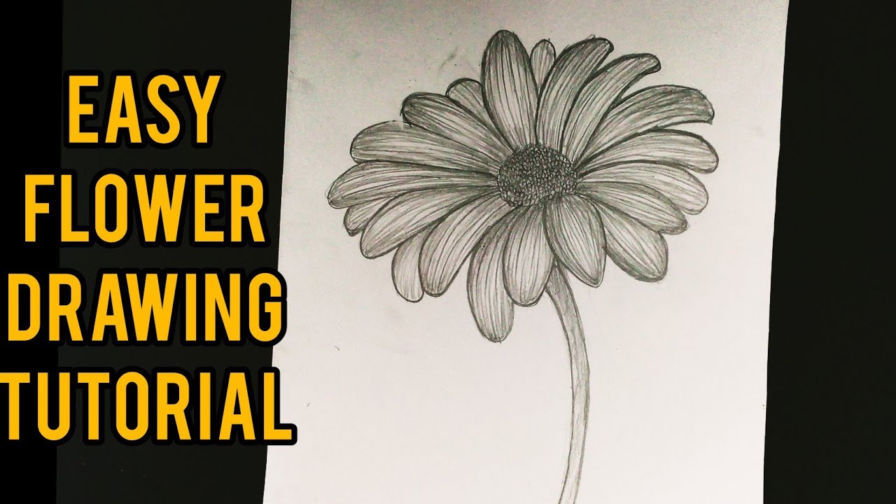 How To Draw A Flower Step By Step