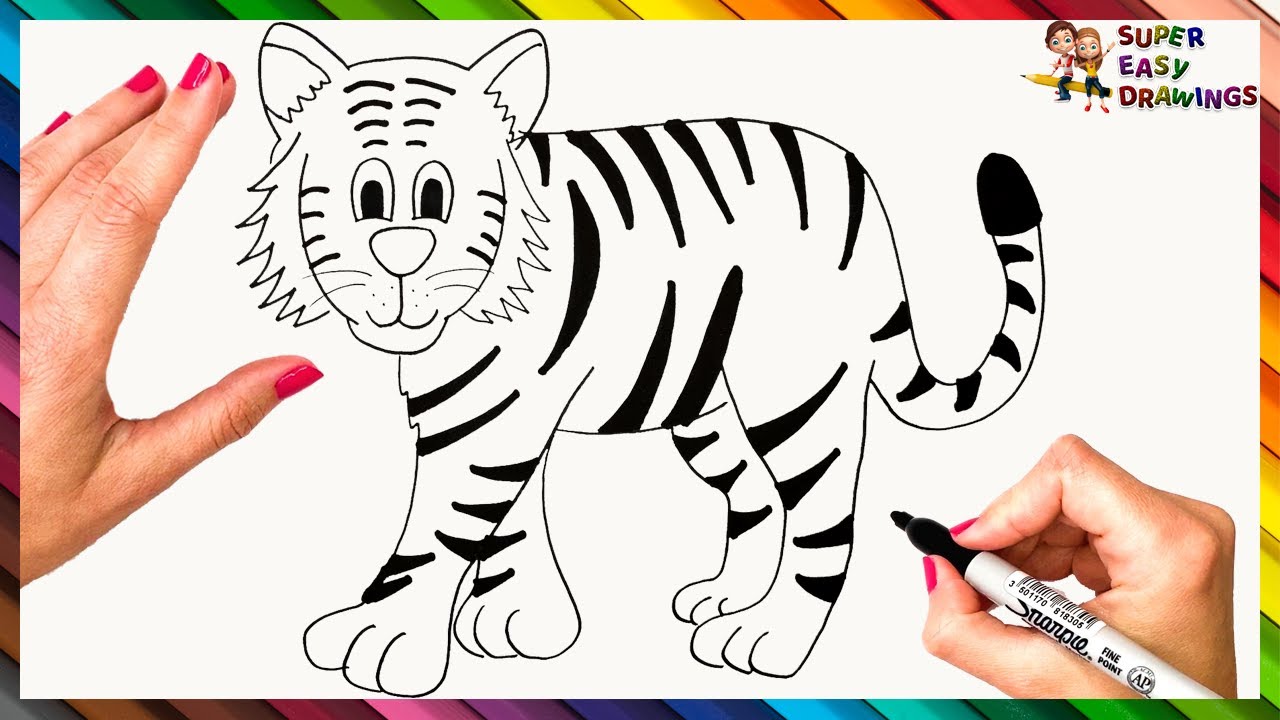 How To Draw A Tiger Step By Step  Tiger Drawing Easy