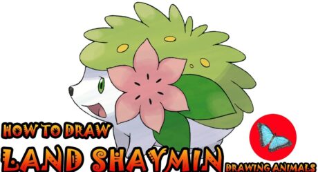 How To Draw Land Shaymin Pokemon | Drawing Animals