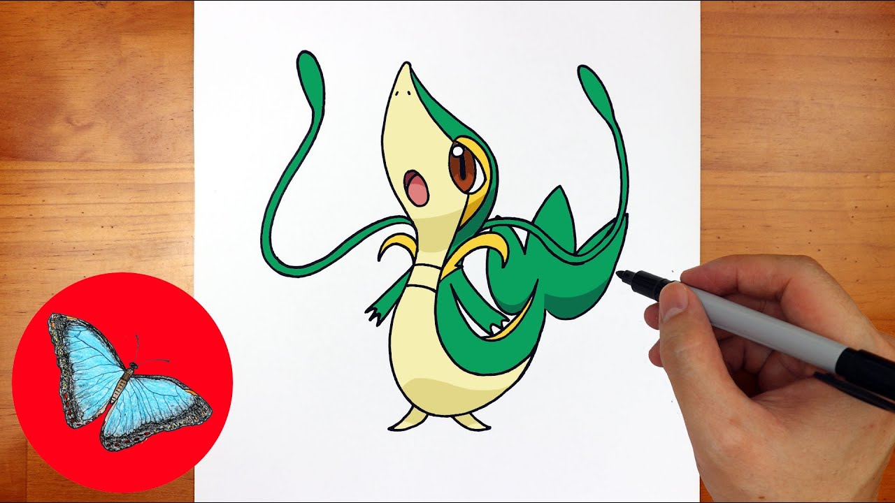 How To Draw Pokemon - Snivy Easy Step by Step