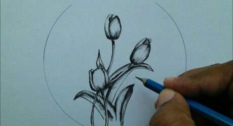 How to Draw Tulip Flower Drawing for Beginners / Step by Step Drawing Flowers