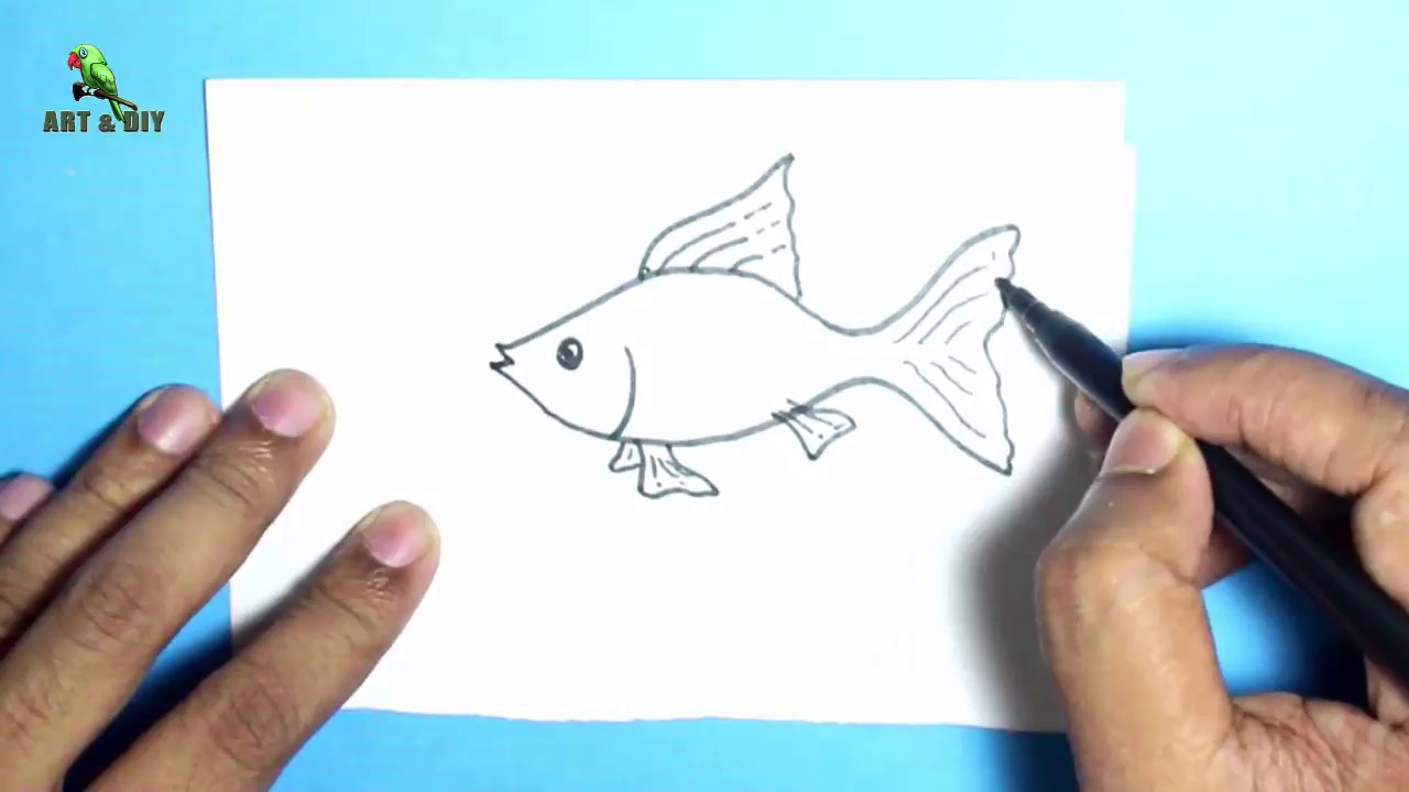 How to Draw a Fish   Gold Fish Drawing Easy