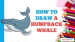 How to Draw a Humpback Whale in a Few Easy Steps: Drawing Tutorial for Beginner Artists