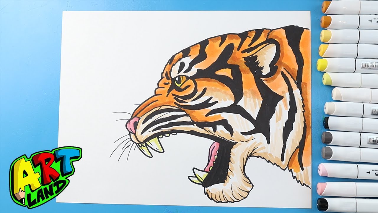 How to Draw a Roaring Tiger Face