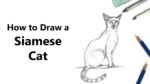 How to Draw a Siamese Cat with Pencils [Time Lapse]