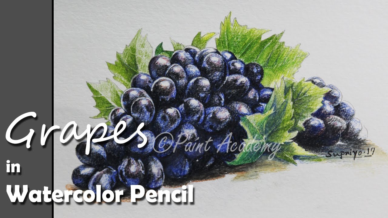 How to Paint Grapes in Watercolor Pencil