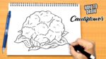 How to draw Cauliflower
