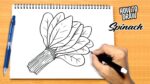 How to draw Spinach