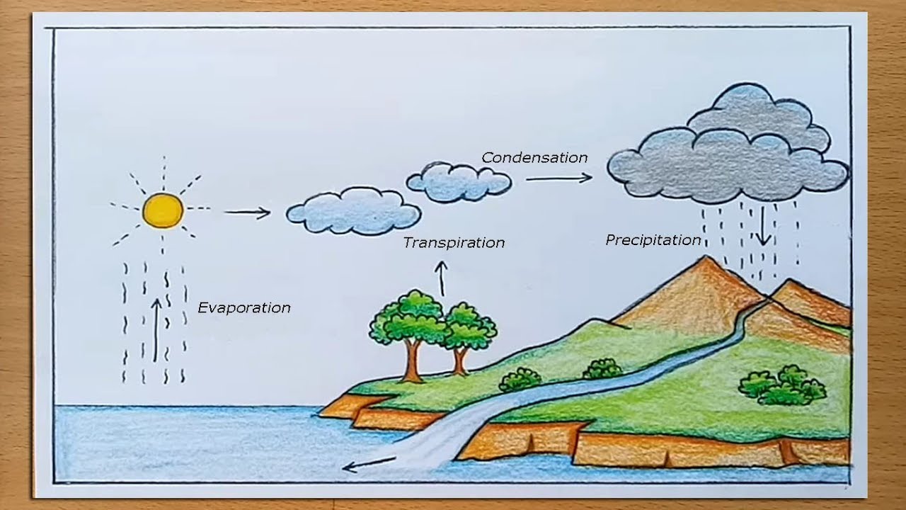 How To Draw Water Cycle Of A Babe Project