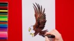 How to draw a Bald Eagle - National Bird of USA