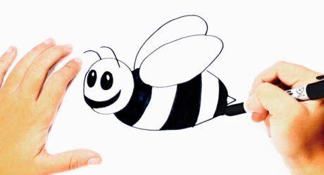 Cómo dibujar una abeja paso a paso | Lección de dibujo de abeja