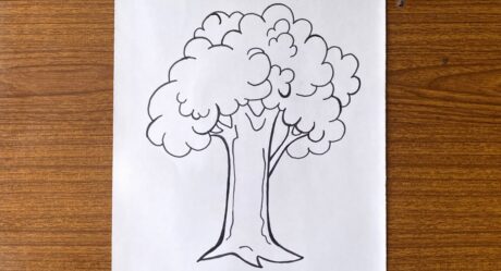 Comment dessiner un bel arbre avec un crayon || Comment dessiner un arbre pour les débutants étape par étape