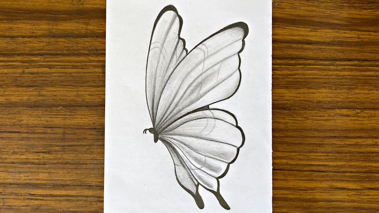 How to draw a butterfly || Easy drawing ideas for beginners || Drawing tutorial