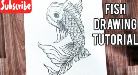 How to draw a fish easy step by step || Koi fish drawing