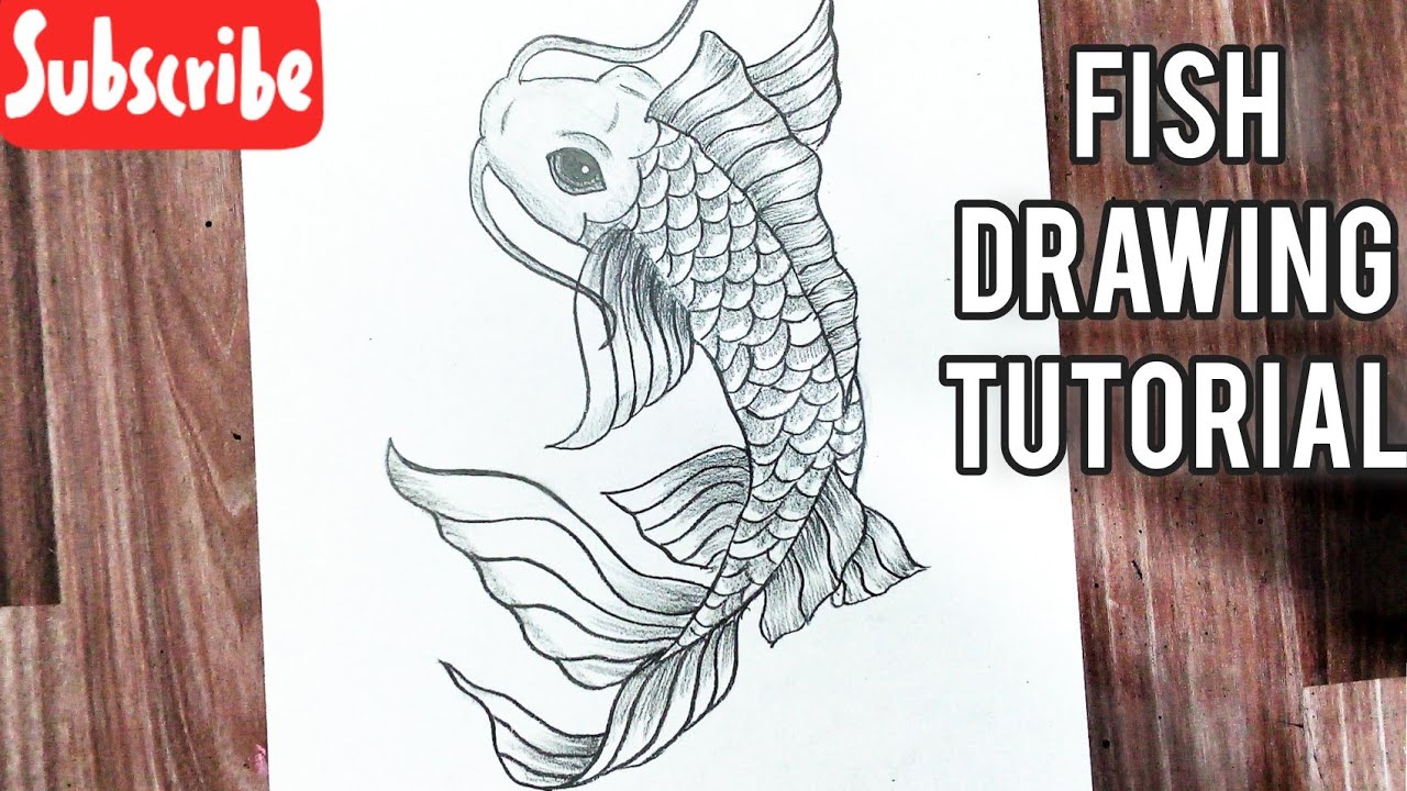 How to draw a fish easy step by step || Koi fish drawing