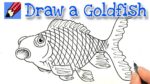 How to draw a goldfish