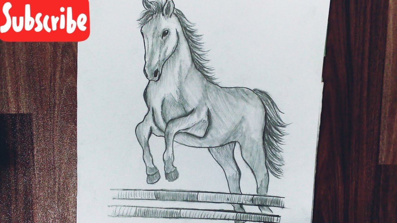 How to draw a horse easy step by step for beginners