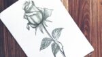 How to draw a rose easy step by step for beginners || Easy rose drawing