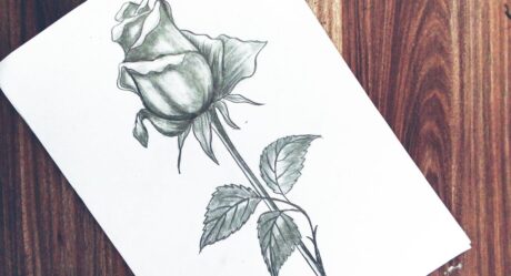 Como dibujar una rosa facil paso a paso para principiantes || Dibujo de rosa facil