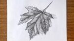 How to draw and shade a leaf - step by step // How to draw a leaf step by step easy
