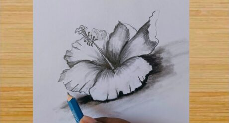 Comment dessiner un dessin de fleur artistique / dessin d’hibiscus facile pour les débutants