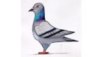 oil pastel pigeon art@Taposhi kids academy