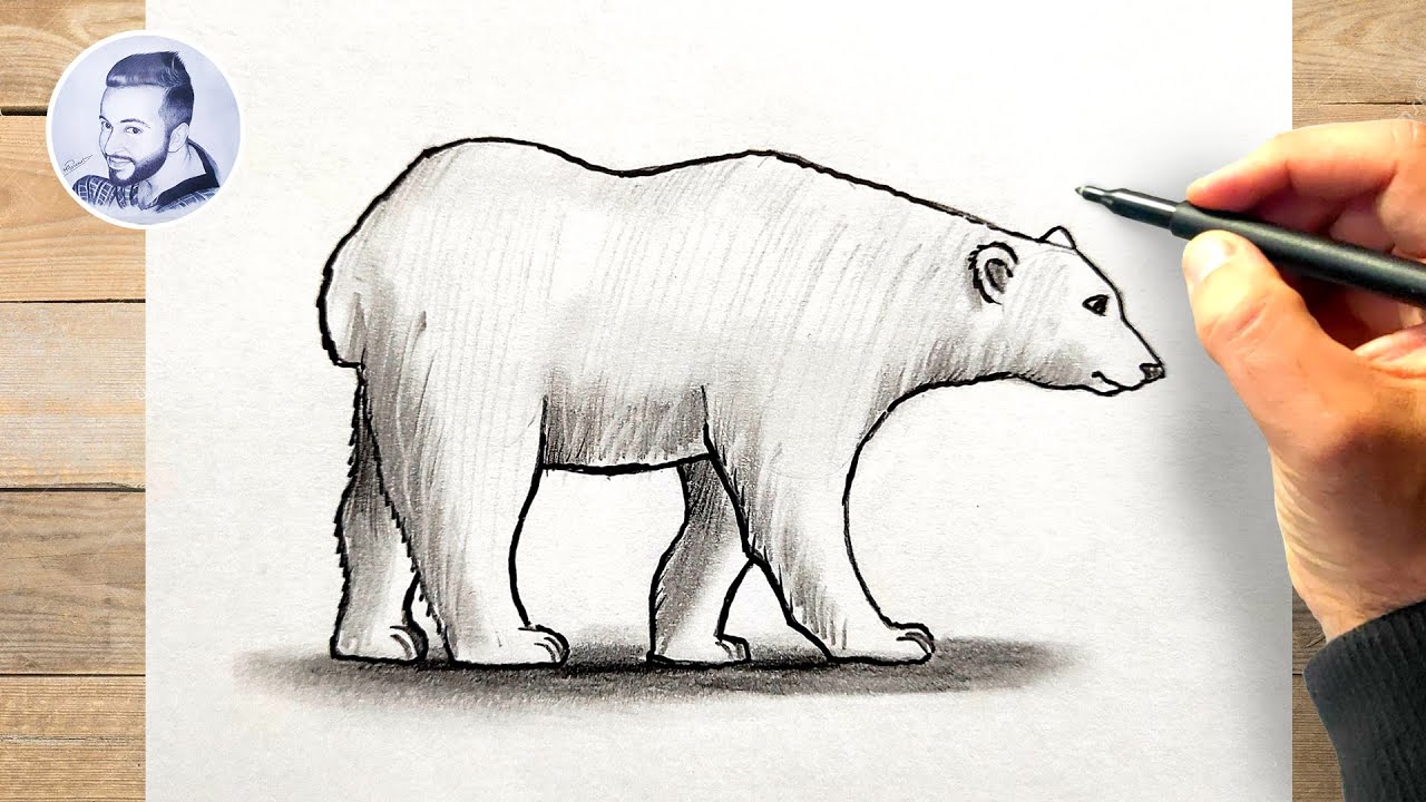 Comment dessiner un ours blanc facilement
