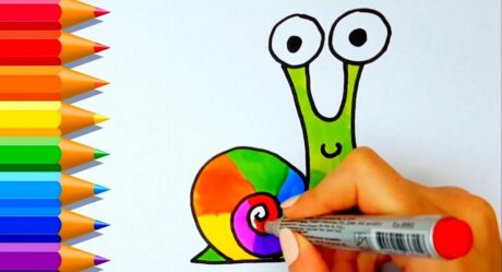 How to draw a snail How to draw a snail