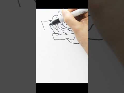 Dibujos Faciles - Como dibujar una rosa roja GRANDE  #shorts