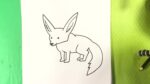 EASY How to Draw FENNEC FOX