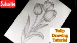 Easy Tulips Drawing For Beginners || Flower Drawing