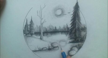 Easy scenery drawing for beginners step by step / nature scenery