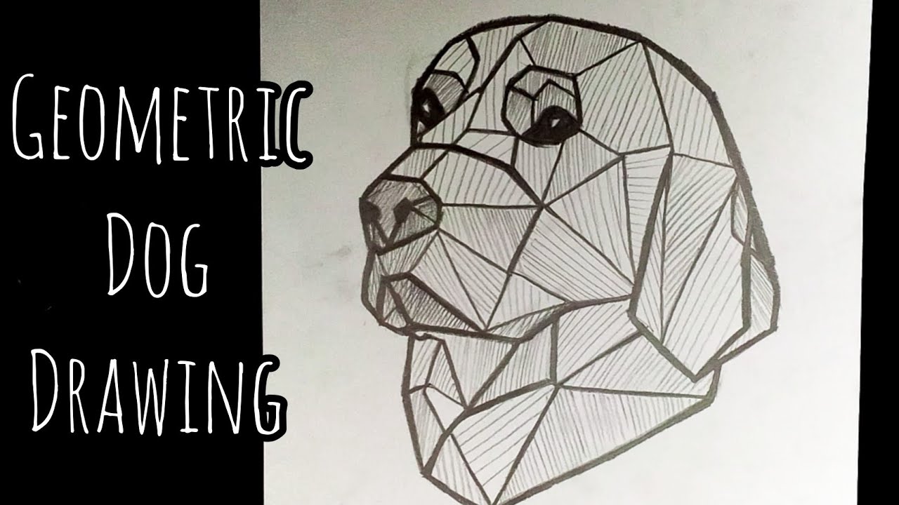 Geometric Dog Drawing || Geometric Art || Zentangle Art