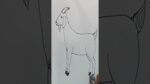 Goat Drawing #shorts