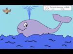 Hoe je gemakkelijk een walvis tekent