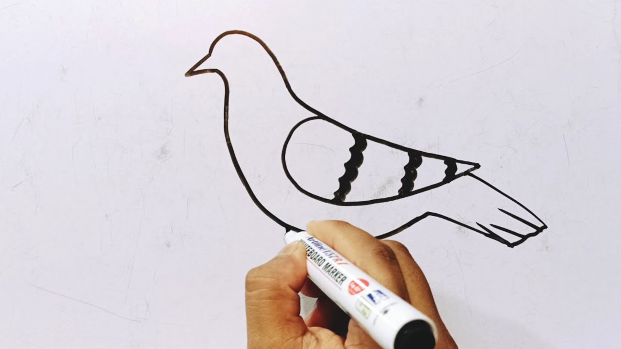 How To Draw A Beautiful Pigeon In New Ways | Pigeon Drawing Easy Step By Step | Bird Drawing