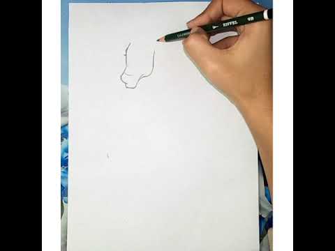How To Draw A Horse ||Pencil Drawing