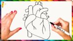 How To Draw A Human Heart Step By Step  Human Heart Drawing Easy