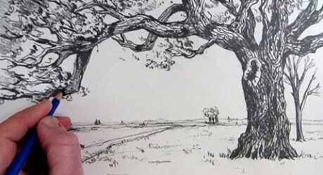 Comment dessiner un arbre : commenté étape par étape