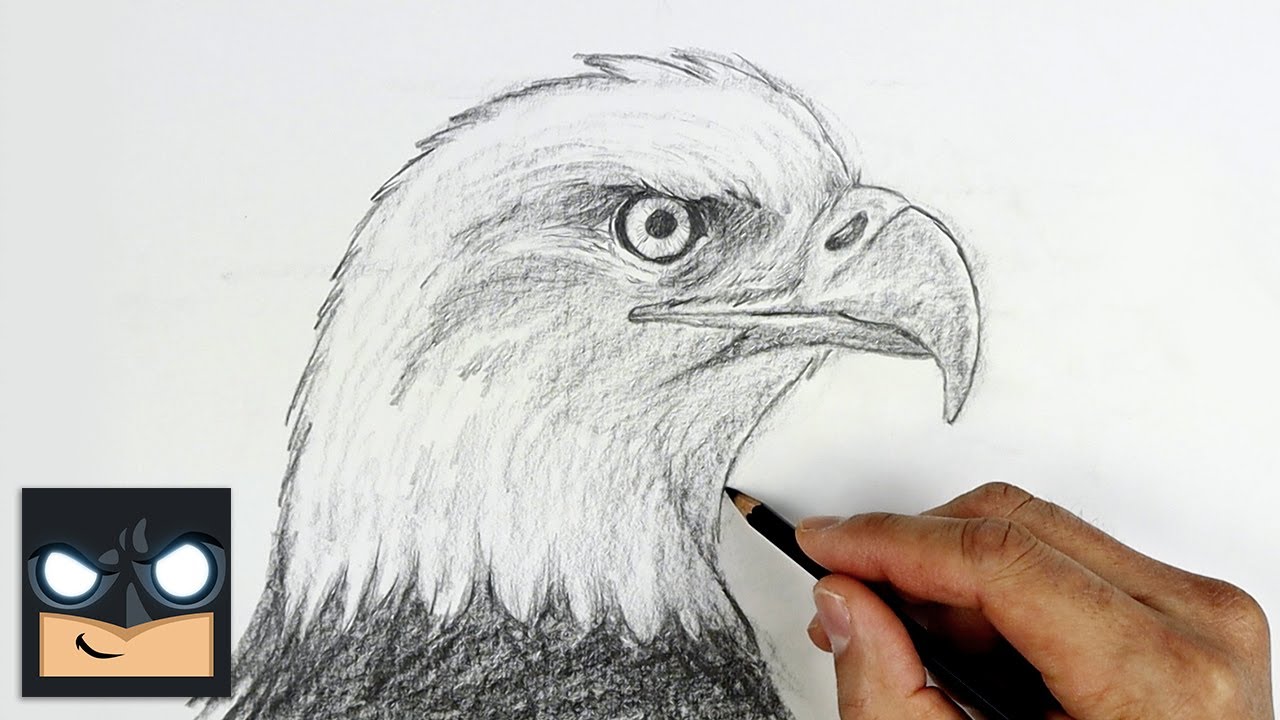 How To Draw a Bald Eagle | Sketch Sunday