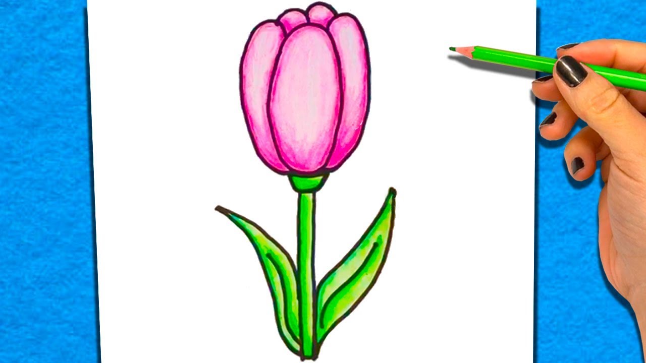 How To Draw and Colour a Flower | Coloring Pages for Kids and Learn The Colors