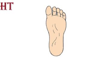 How to Draw A Foot easy Step by Step