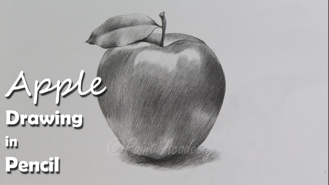 How to Draw An Apple in Pencil | step by step how to use pencil strokes | Artist : Supriyo