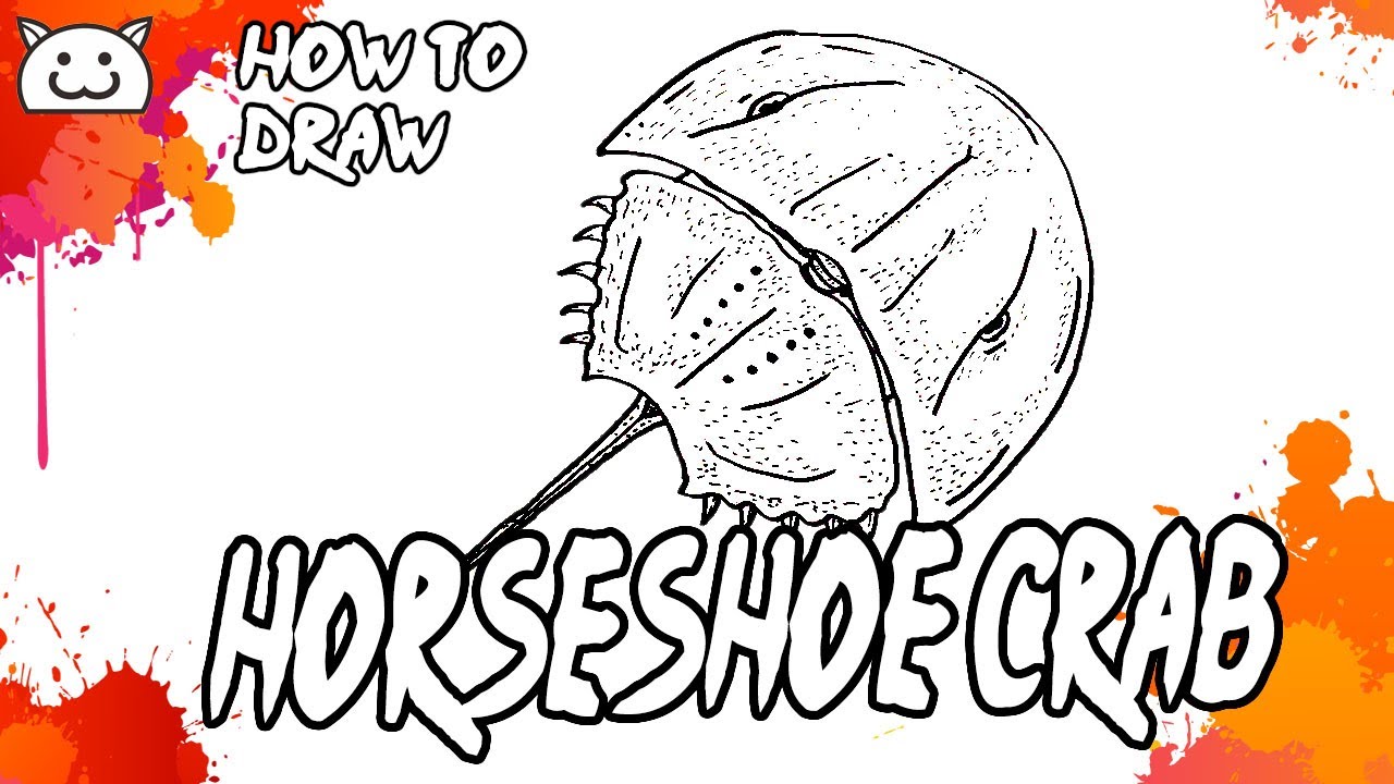How to Draw Horsehoe Crab
