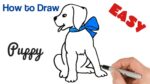 How to Draw Puppy Cute and Easy Drawing for beginners